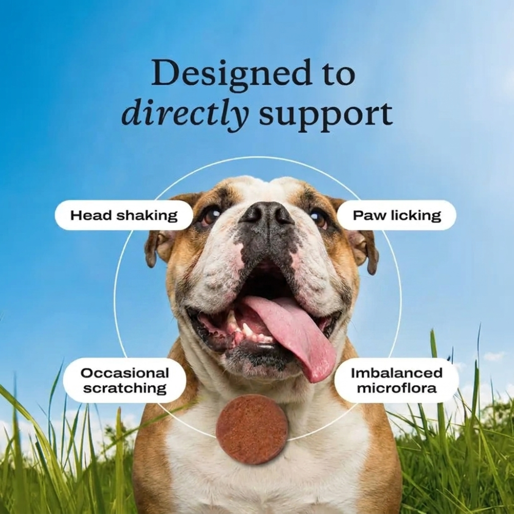 Allergy Aid + Immune Support for Dogs (ENG)